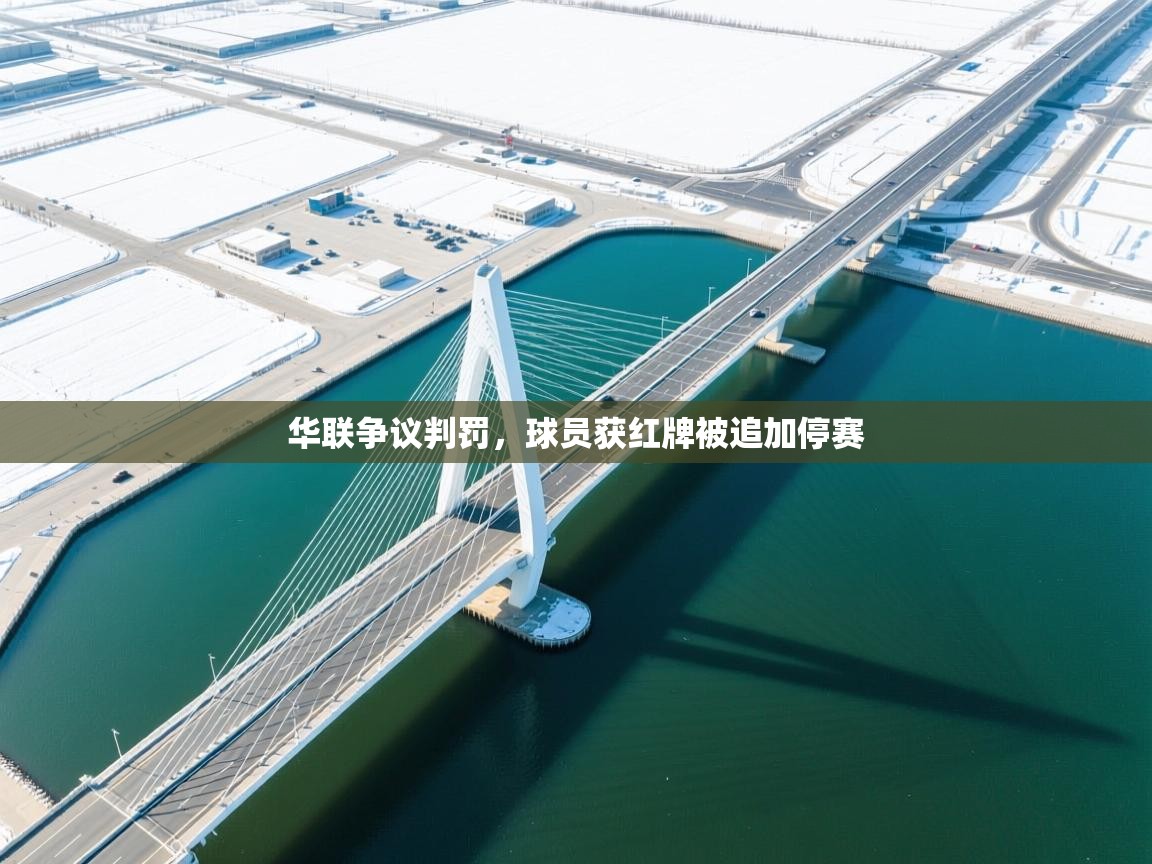 华联争议判罚，球员获红牌被追加停赛