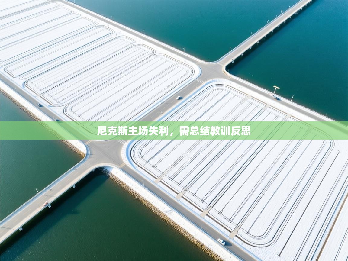 尼克斯主场失利，需总结教训反思  第1张