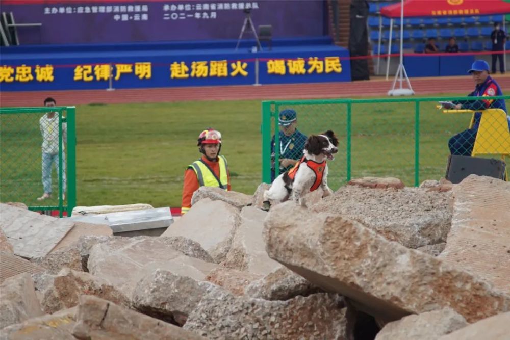 关于拼尽全力追逐胜利的过程，令人敬佩的信息