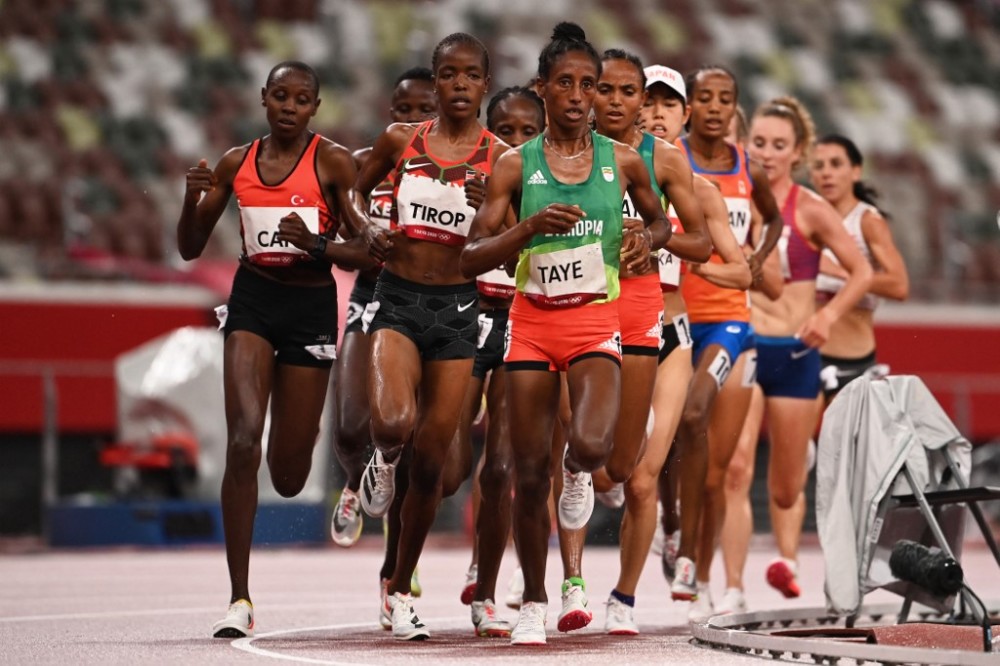 荷兰选手再夺冠军，展现实力